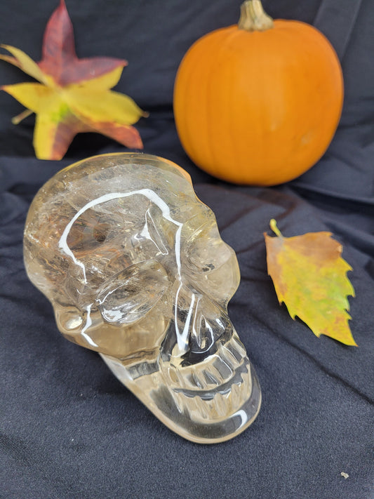 High Grade Citrine Skull